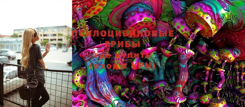 Галлюциногенные грибы MAGIC MUSHROOMS  маркетплейс формула  Кологрив  купить  цена 